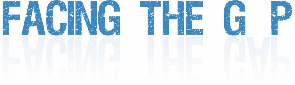 Facing the Gap – a capacity building project led by InSite