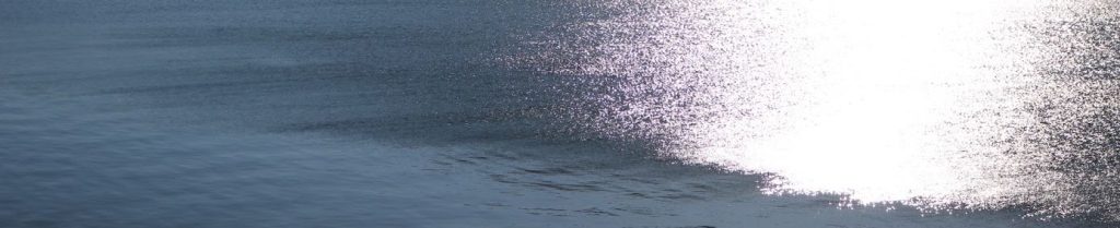 Site B – online seminars exploring key components of ‘being’ in role in process drama